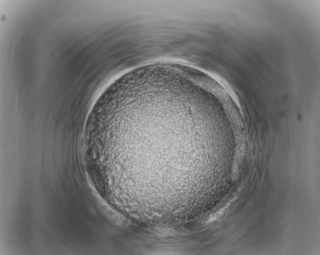 X0000087690911200705181751