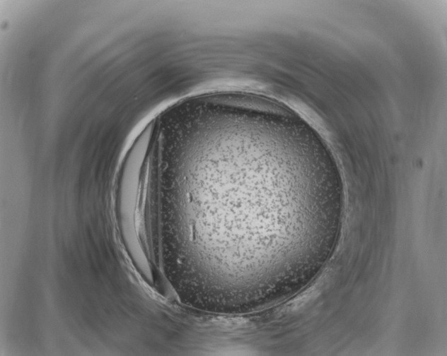 X0000087690912200705181751