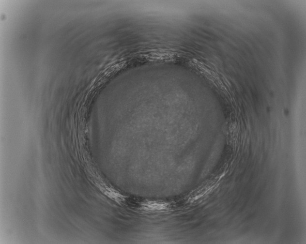 X0000087690913200705181751