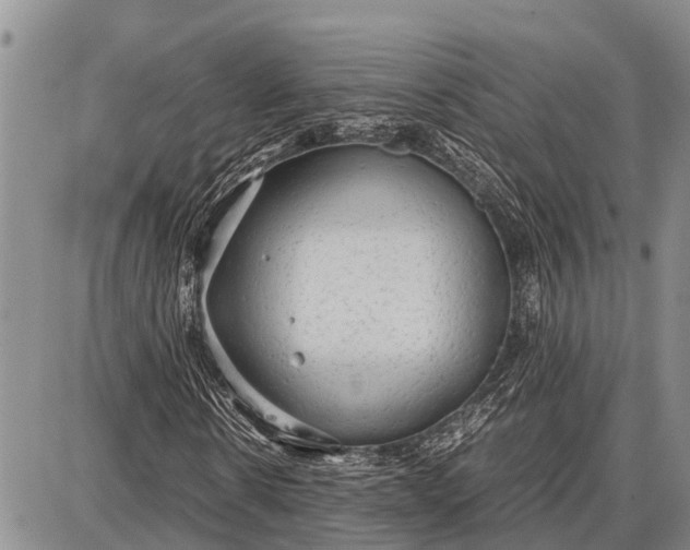 X0000087690914200705181751