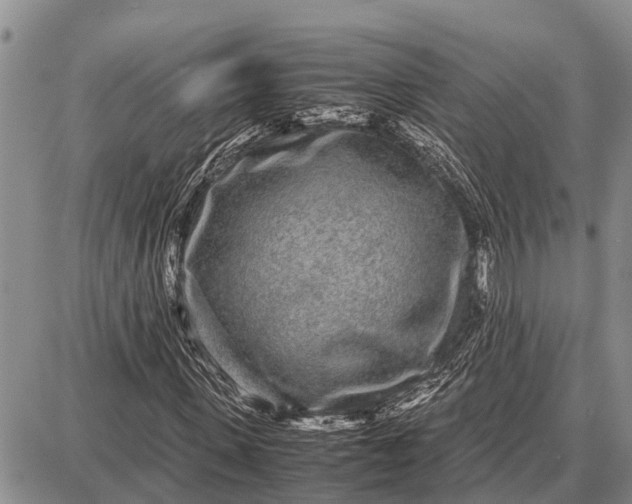 X0000087690915200705181751