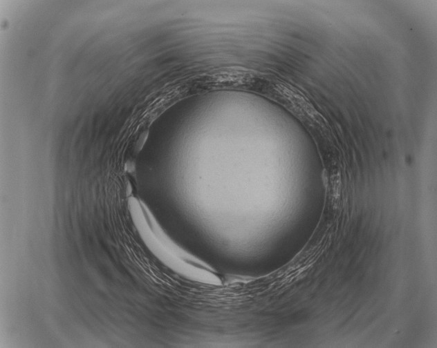 X0000087690916200705181751