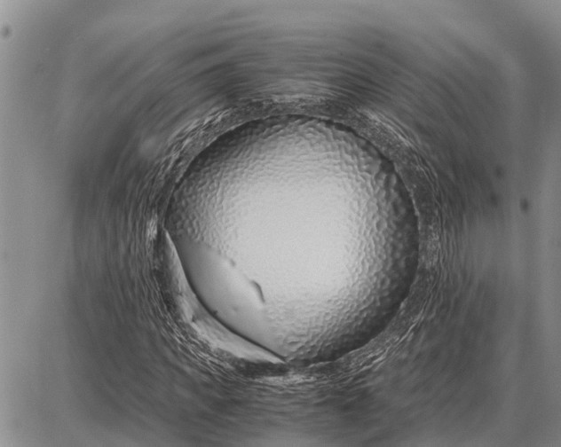 X0000087690917200705181751