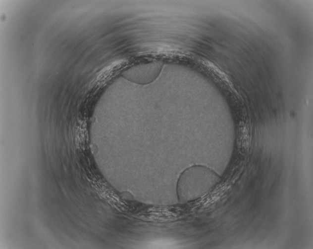 X0000087690918200705181751