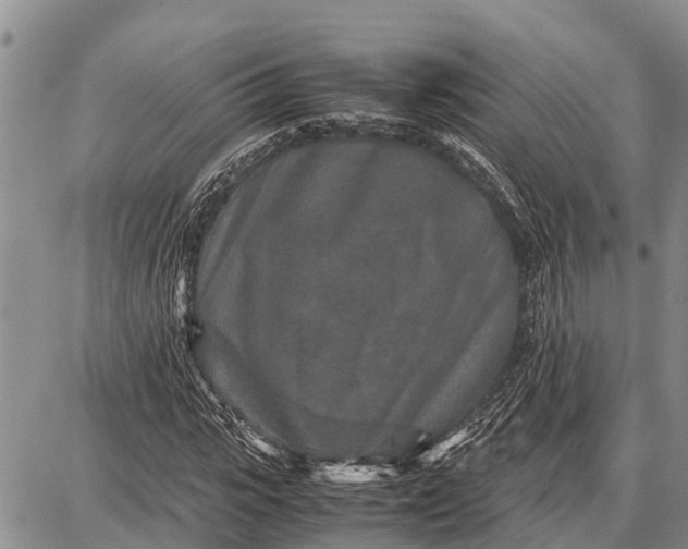 X0000087690919200705181751