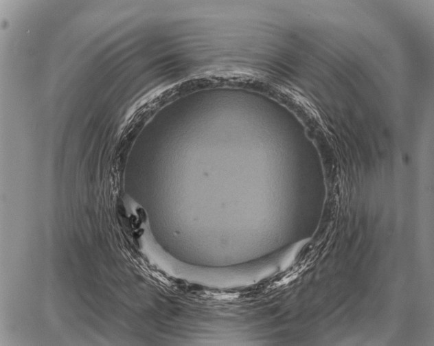 X0000087690920200705181751