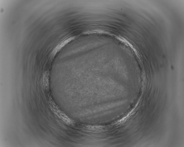 X0000087690921200705181751