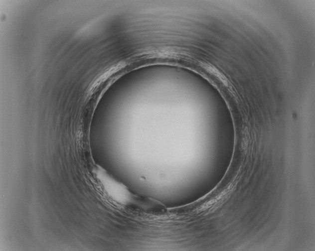 X0000087690922200705181751