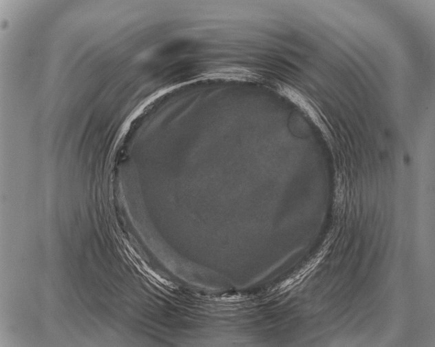 X0000087690923200705181751