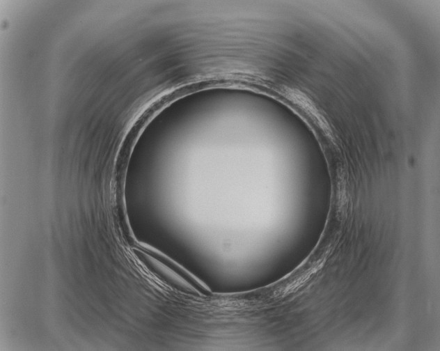 X0000087690924200705181751