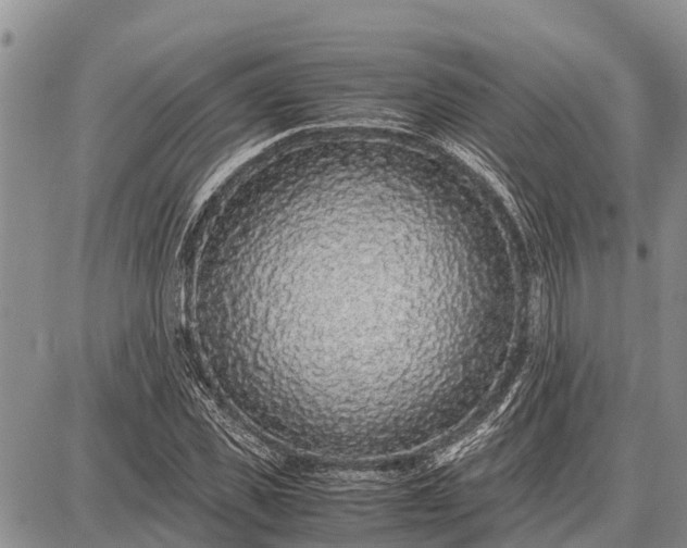 X0000087690925200705181751