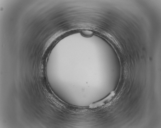 X0000087690926200705181751