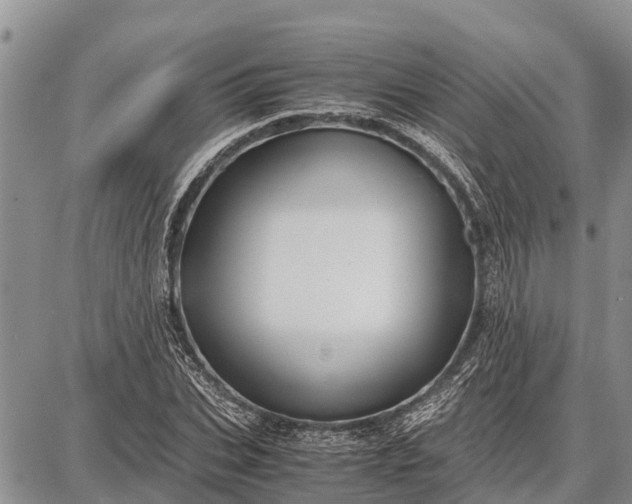 X0000087690927200705181751