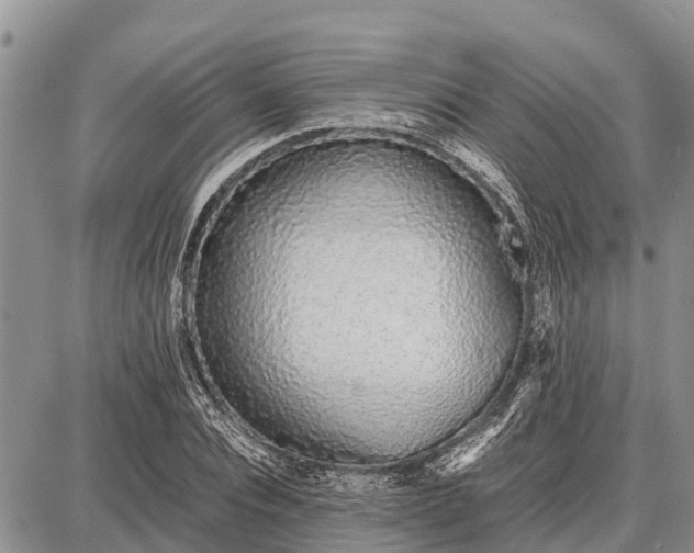 X0000087690928200705181751