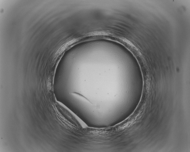 X0000087690929200705181751