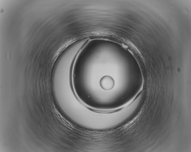 X0000087690930200705181751