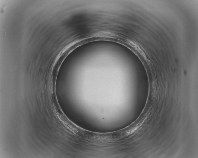 X0000087690931200705181751