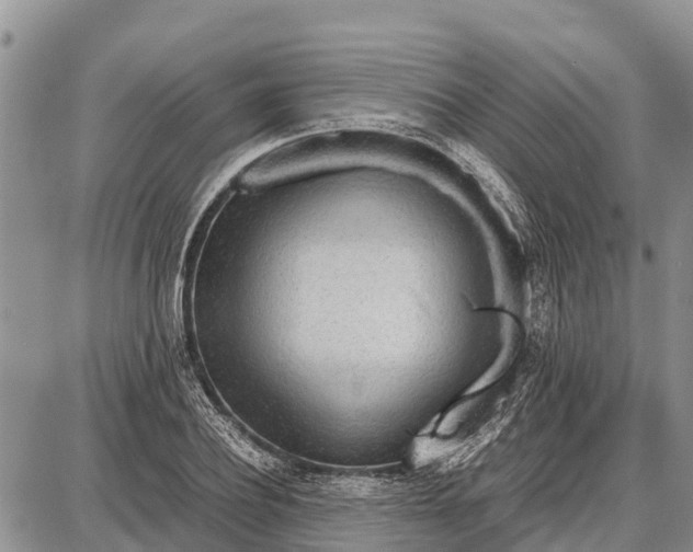 X0000087690932200705181751