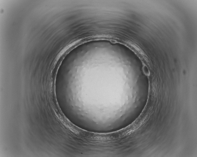 X0000087690933200705181751