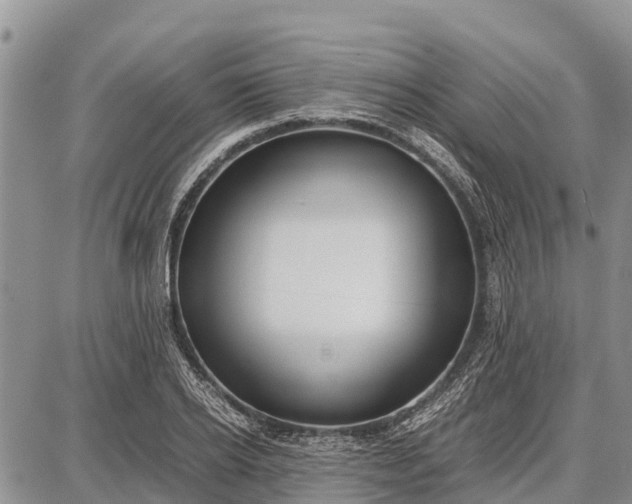 X0000087690934200705181751