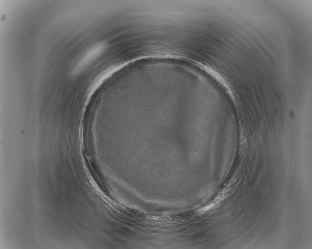 X0000087690935200705181751