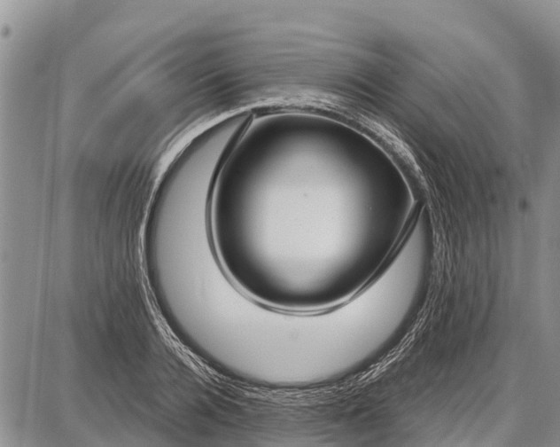 X0000087690936200705181751