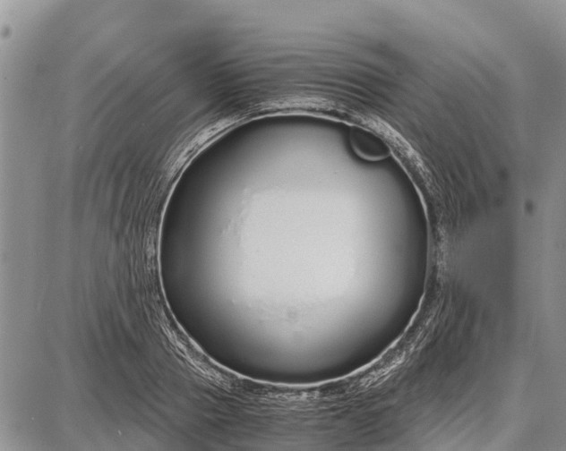 X0000087690937200705181751