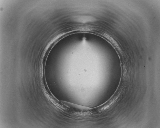 X0000087690939200705181751