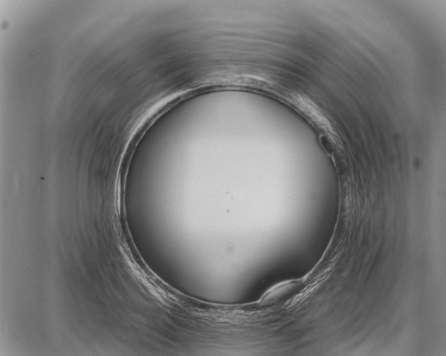 X0000087690940200705181751