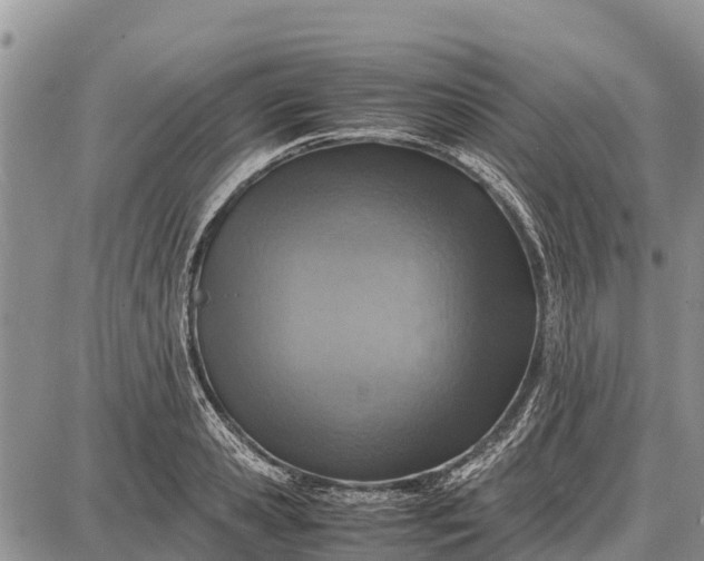 X0000087690941200705181751