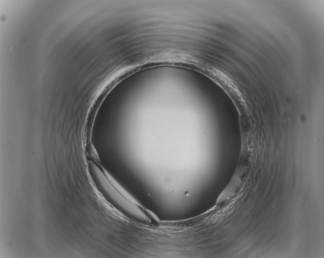 X0000087690942200705181751