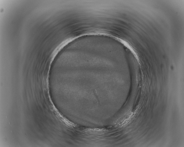 X0000087690943200705181751