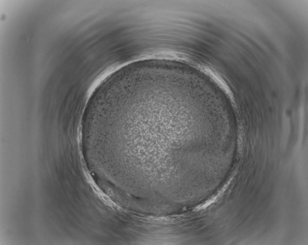 X0000087690944200705181751