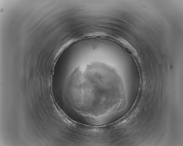 X0000087690945200705181751