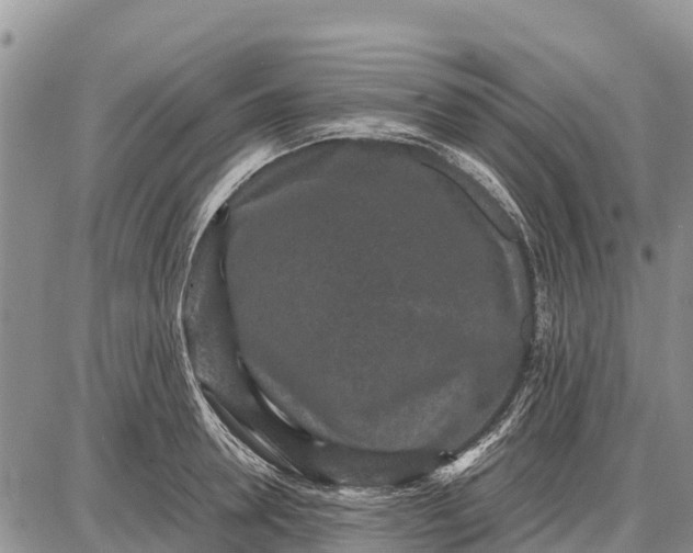 X0000087690946200705181751