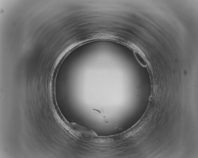 X0000087690947200705181751