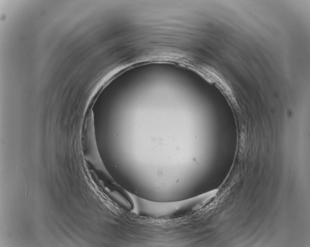 X0000087690948200705181751