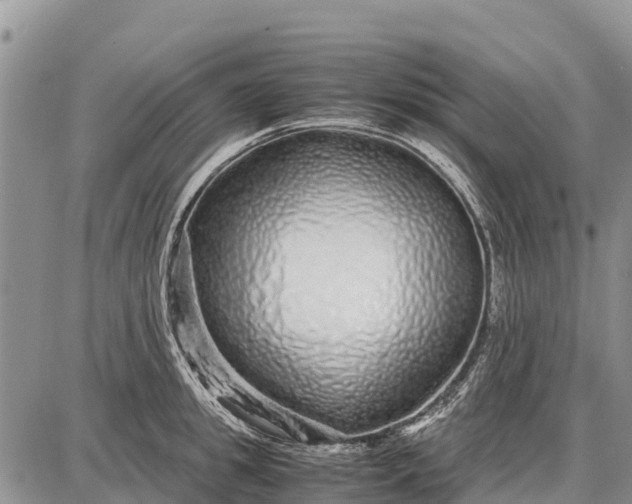 X0000087690949200705181751