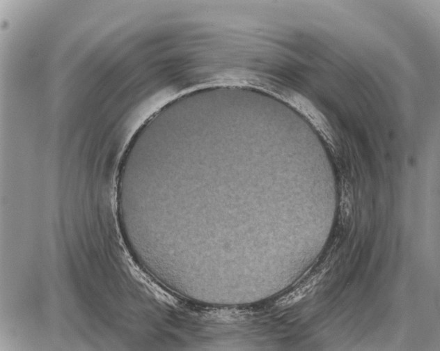 X0000087690950200705181751