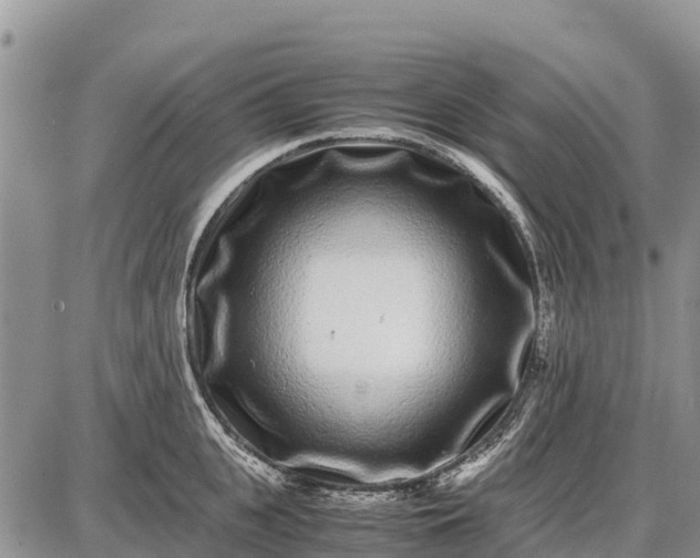 X0000087690951200705181751