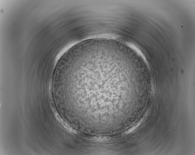 X0000087690952200705181751