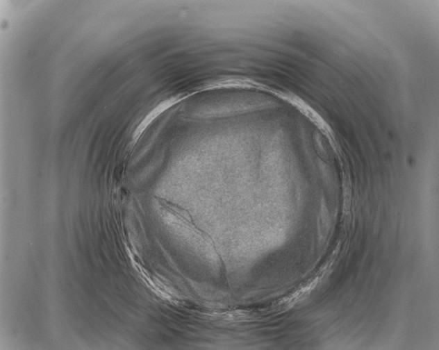 X0000087690953200705181751