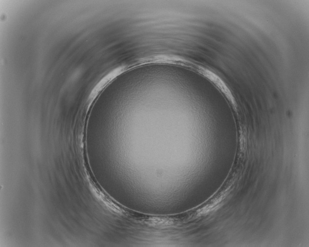 X0000087690954200705181751