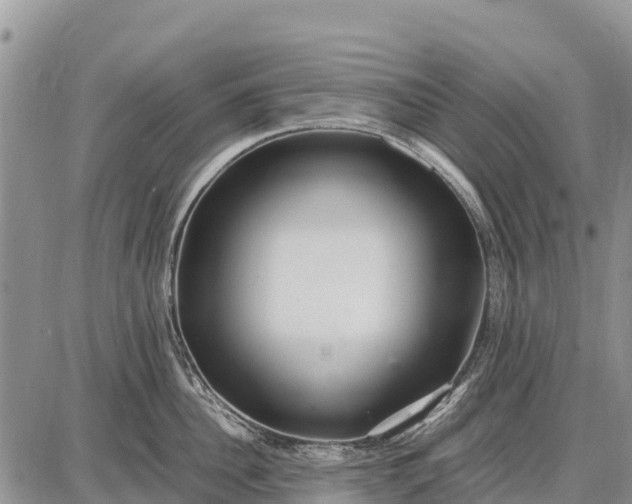 X0000087690956200705181751