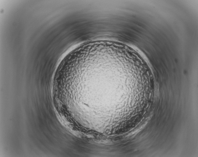 X0000087690957200705181751