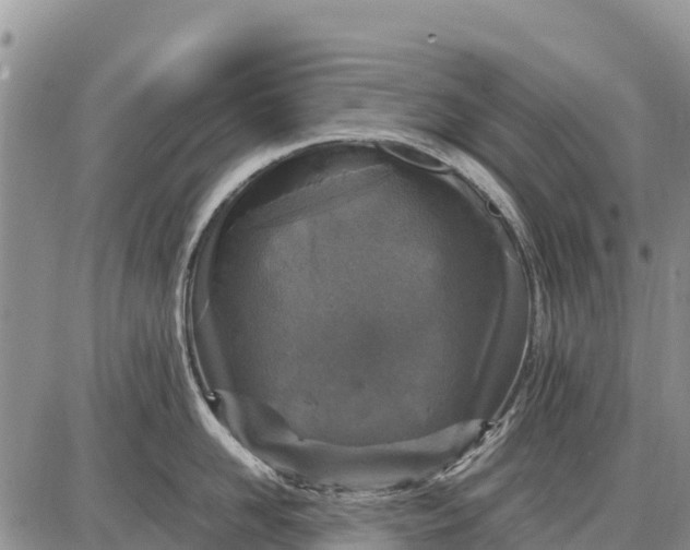 X0000087690958200705181751