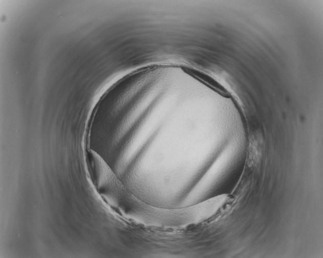 X0000087690959200705181751