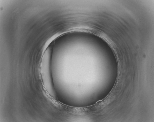 X0000087690960200705181751