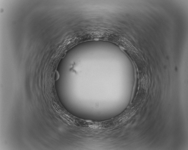 X0000087690961200705181751