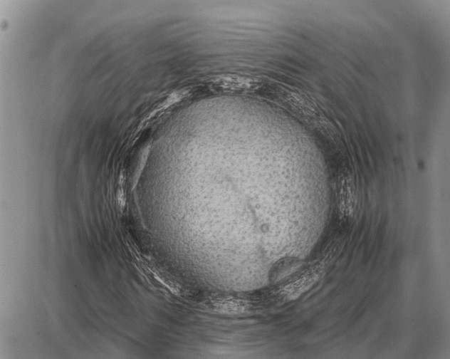 X0000087690962200705181751